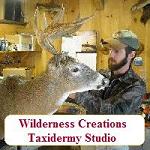Wilderness Creations Taxidermy